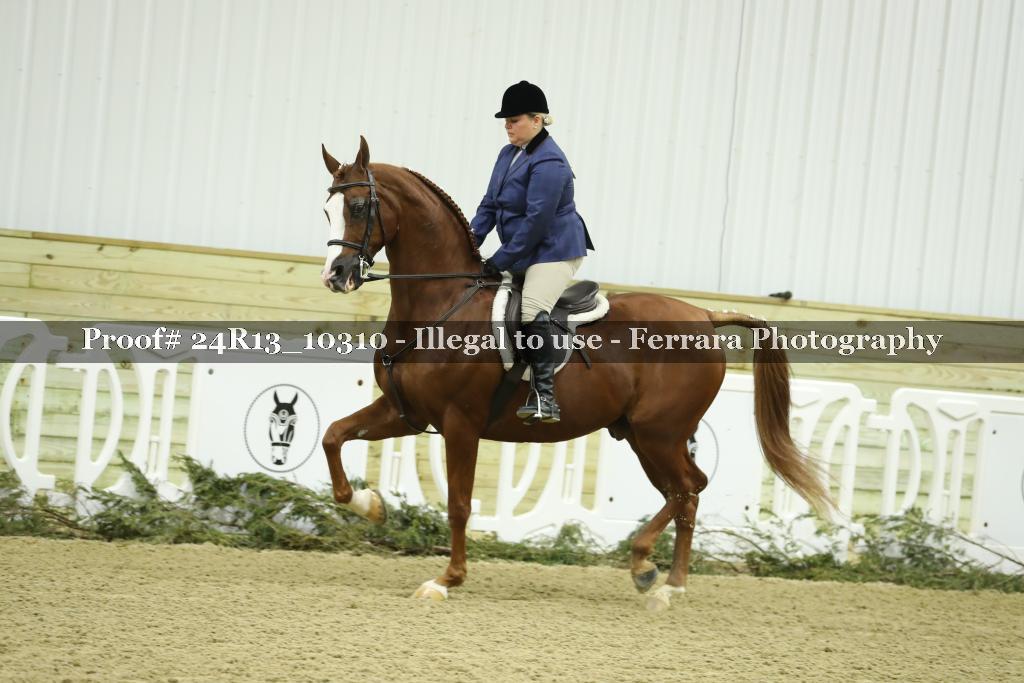 Proof 24R13_10310