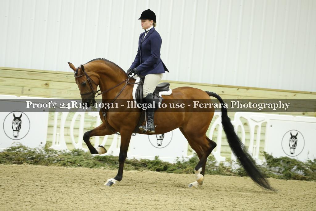 Proof 24R13_10311