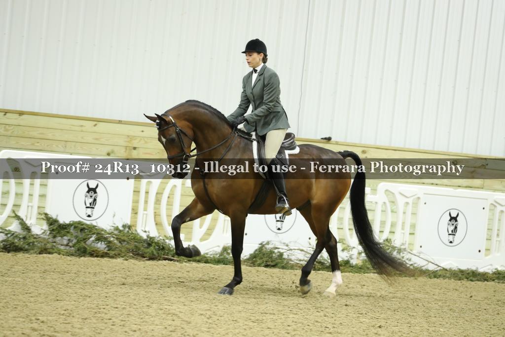 Proof 24R13_10312