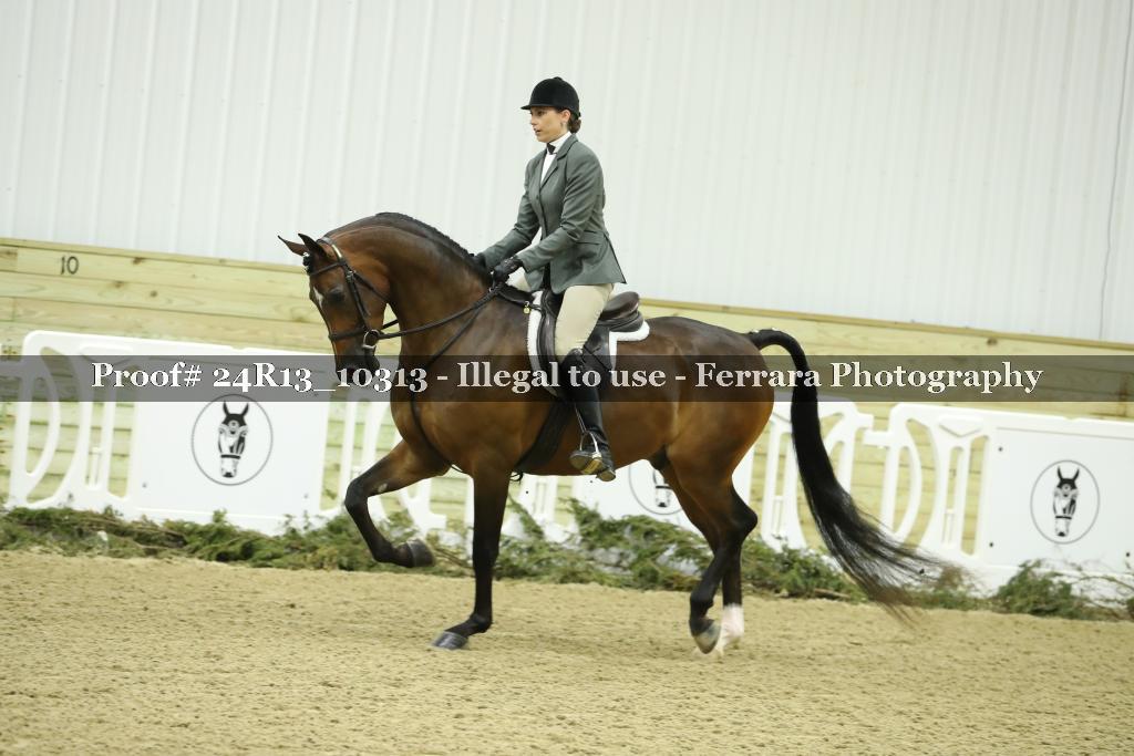 Proof 24R13_10313