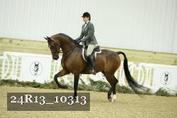 24R13_10313 proof