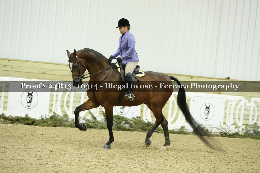 Proof 24R13_10314
