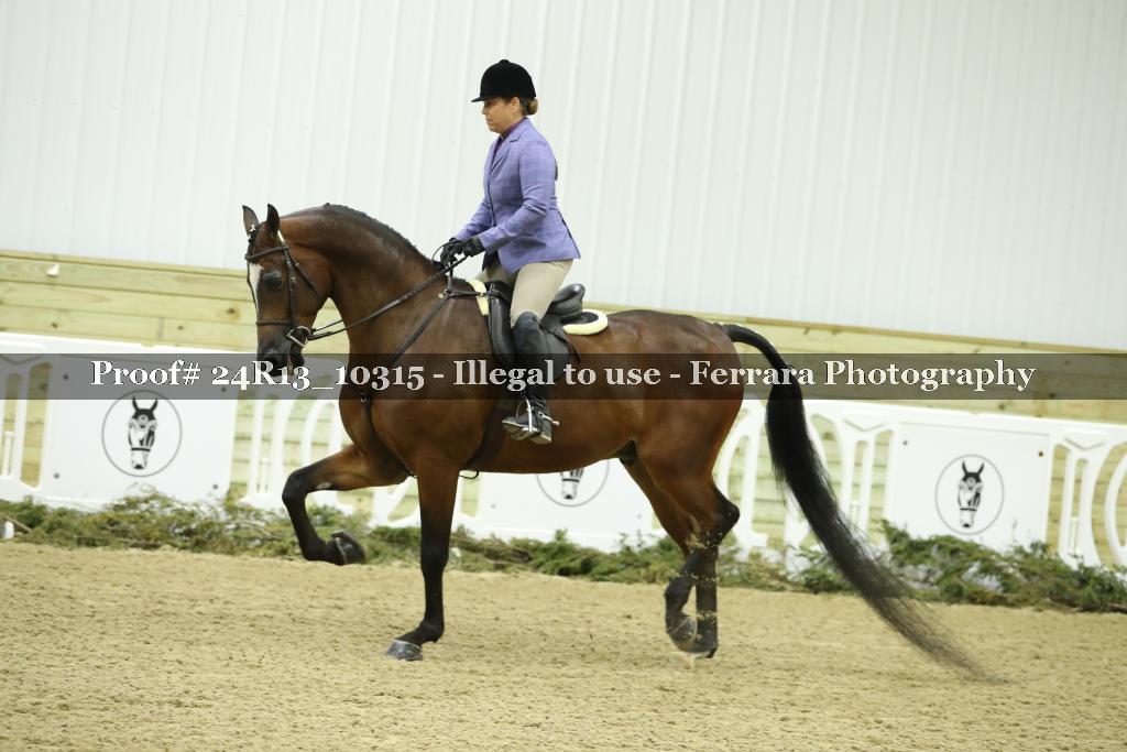 Proof 24R13_10315