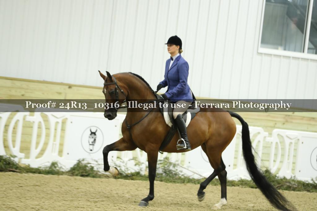 Proof 24R13_10316