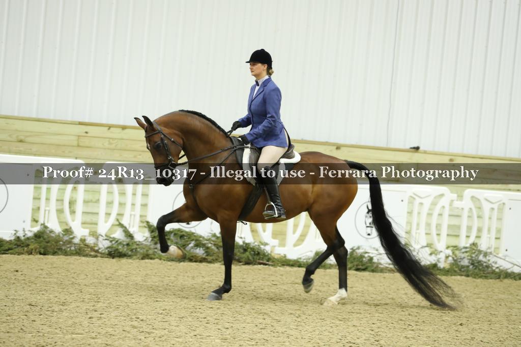 Proof 24R13_10317
