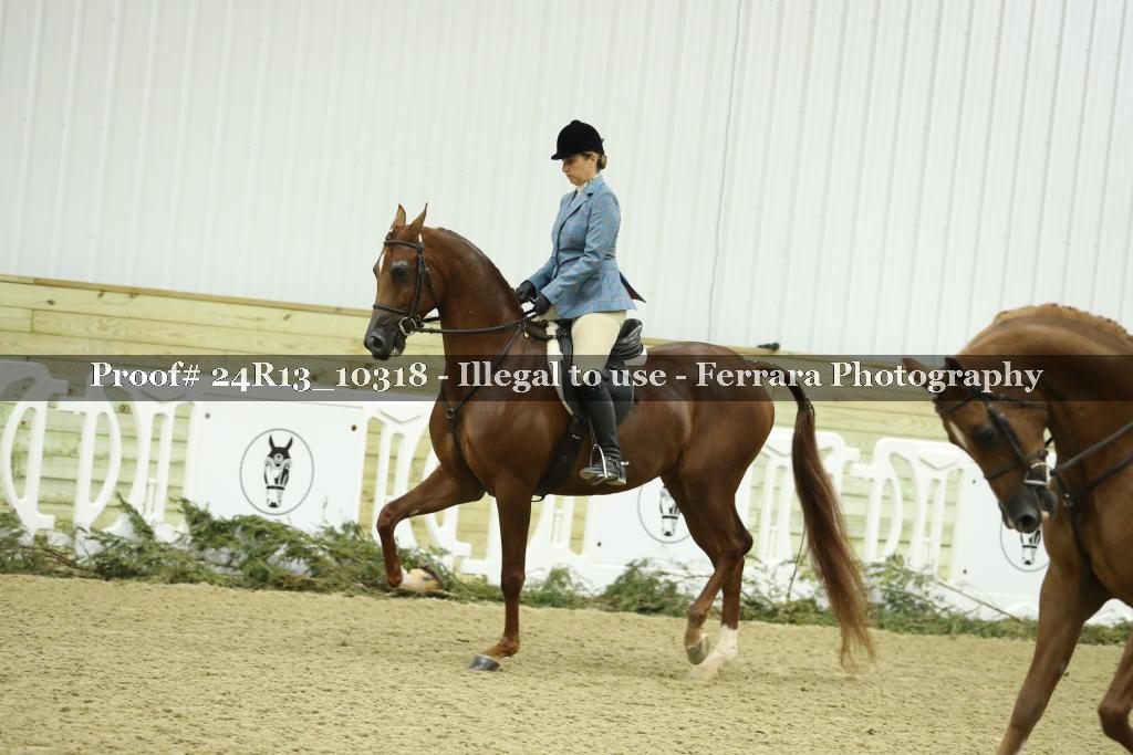 Proof 24R13_10318