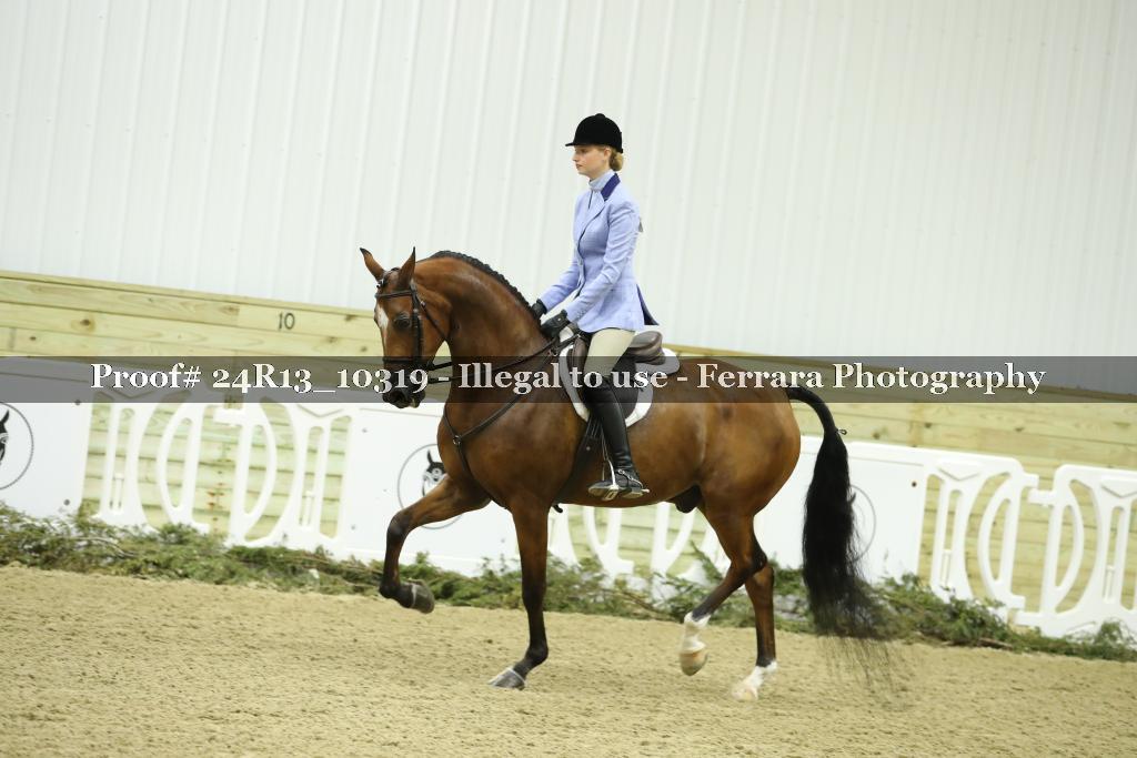 Proof 24R13_10319