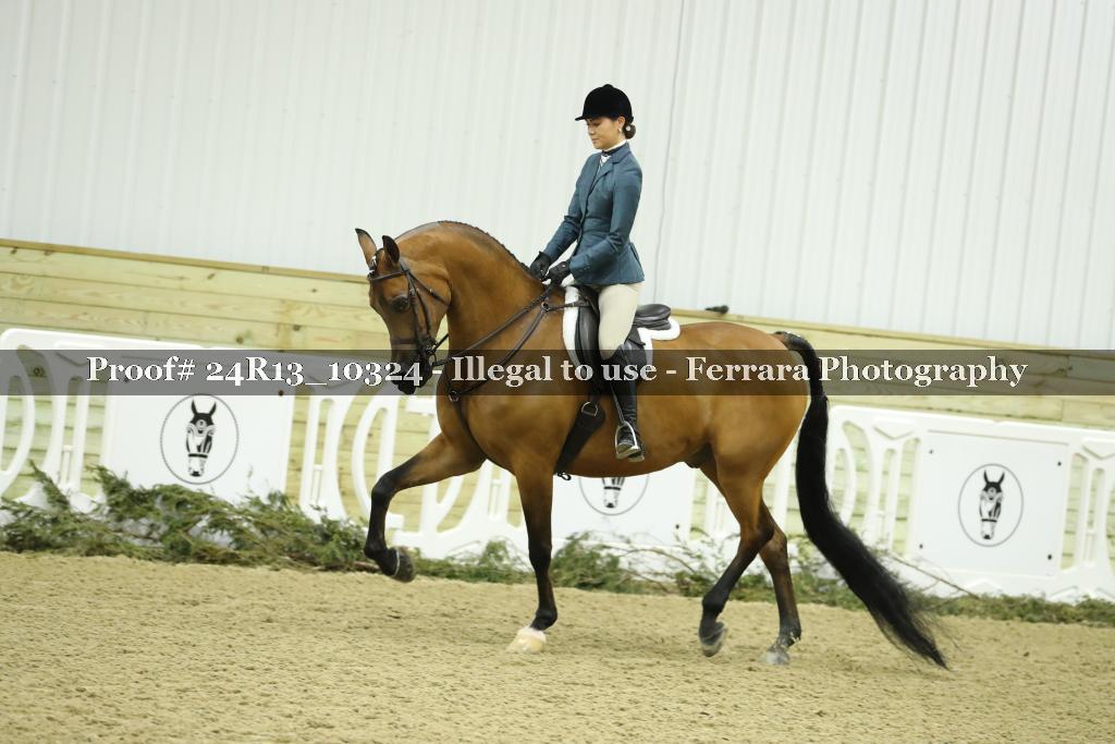 Proof 24R13_10324