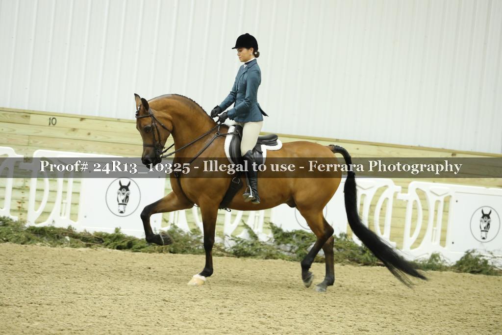 Proof 24R13_10325