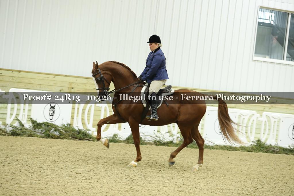 Proof 24R13_10326