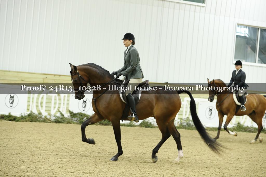 Proof 24R13_10328