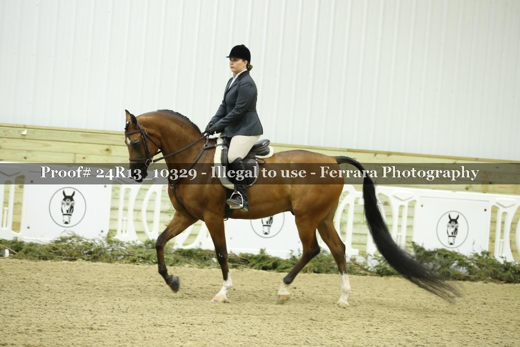 Proof 24R13_10329