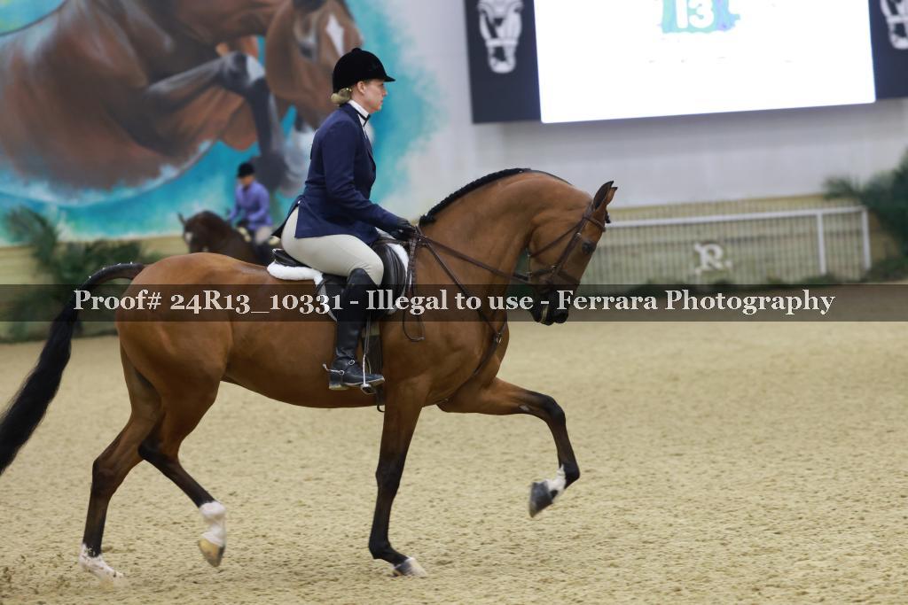 Proof 24R13_10331