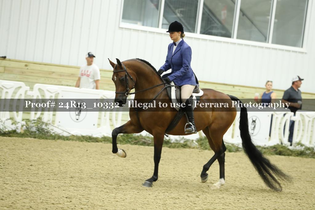 Proof 24R13_10332