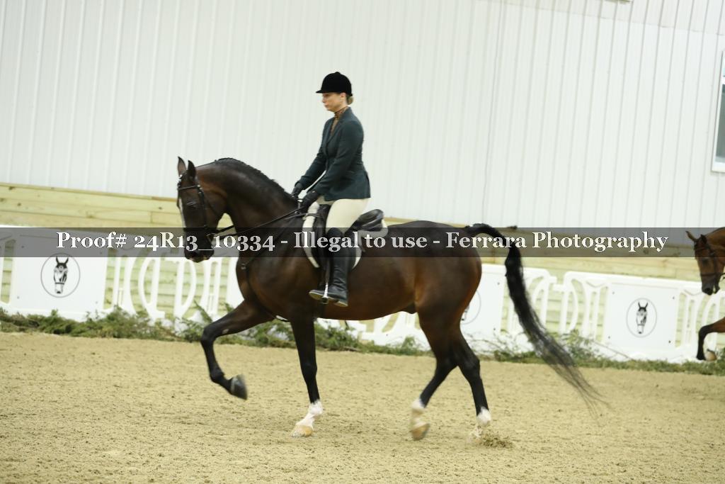 Proof 24R13_10334