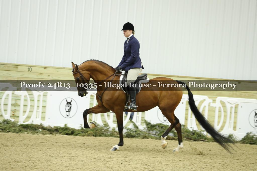Proof 24R13_10335