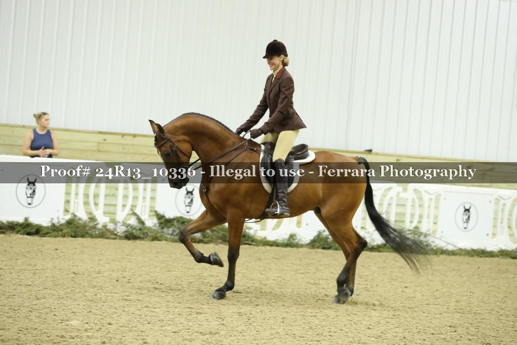 Proof 24R13_10336