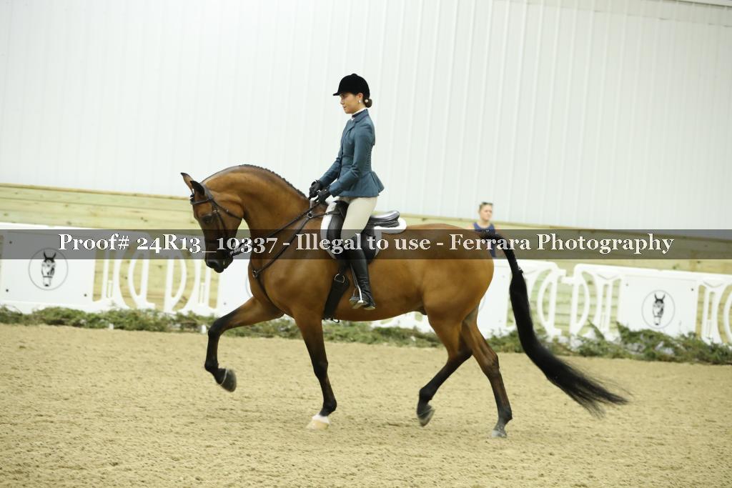 Proof 24R13_10337
