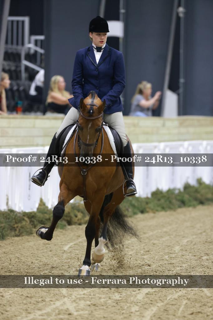 Proof 24R13_10338