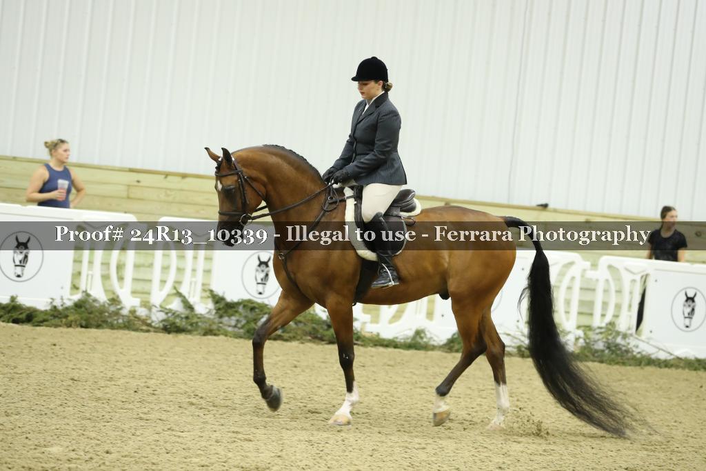 Proof 24R13_10339