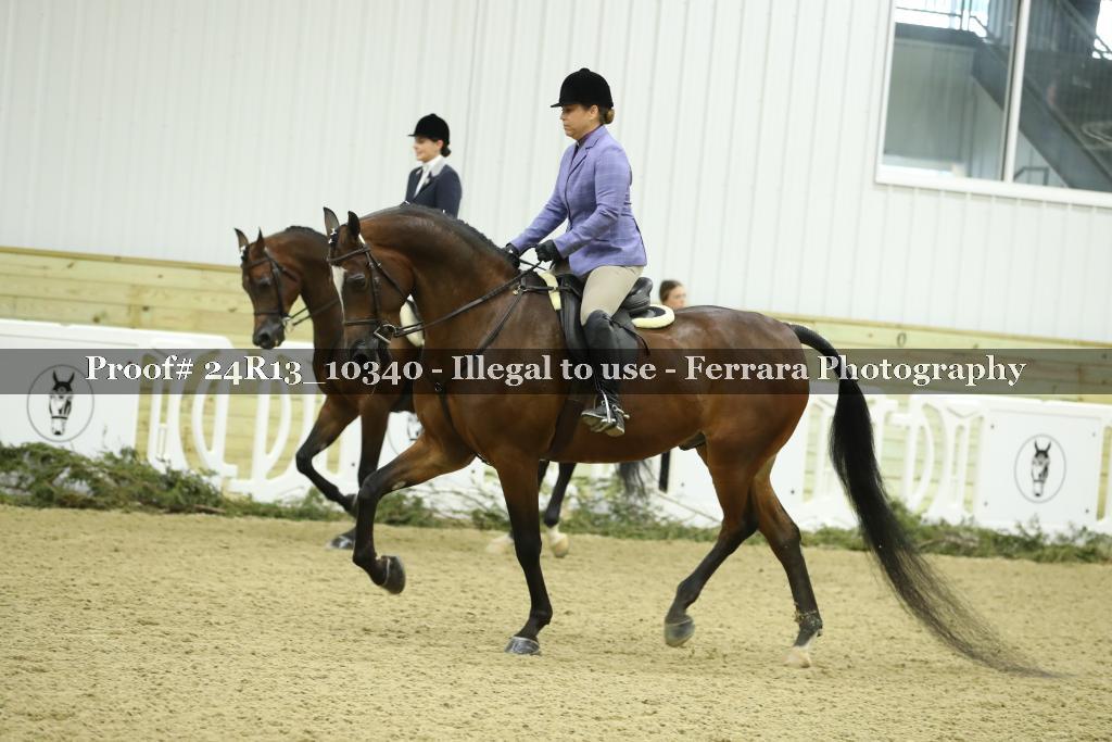 Proof 24R13_10340