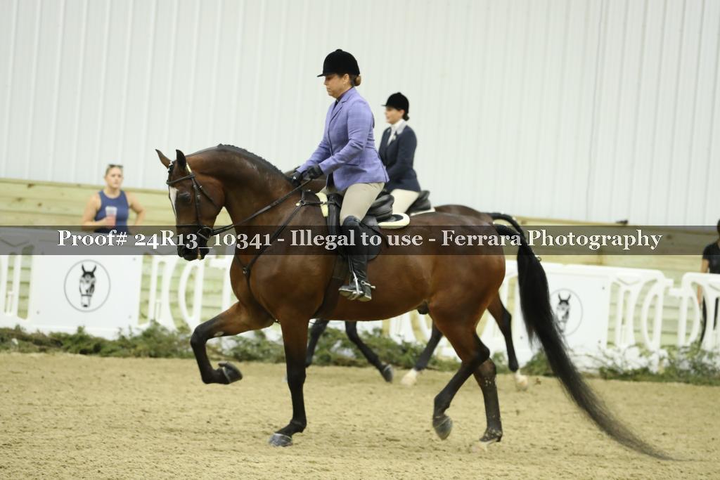 Proof 24R13_10341