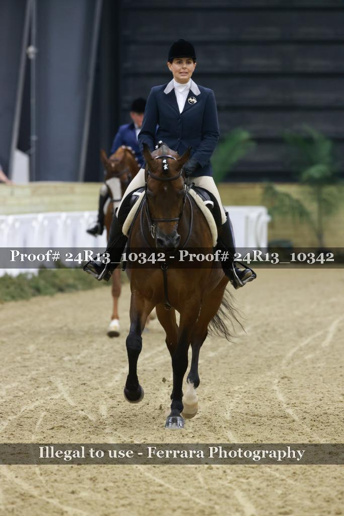 Proof 24R13_10342