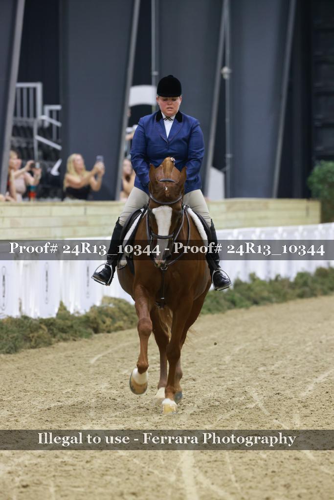Proof 24R13_10344