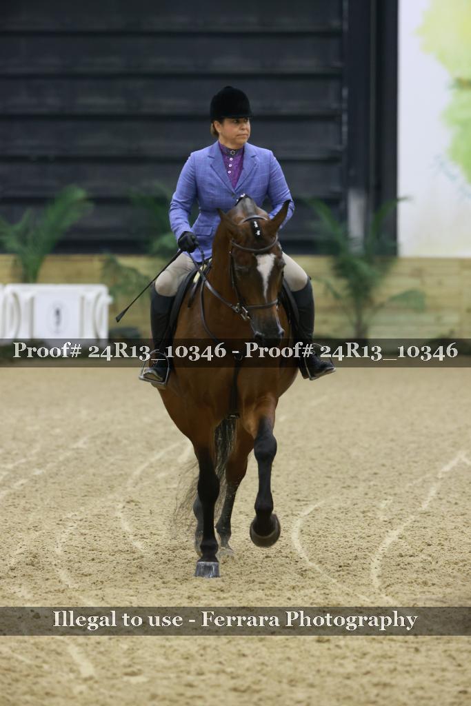Proof 24R13_10346
