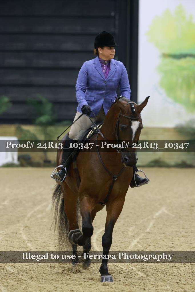Proof 24R13_10347