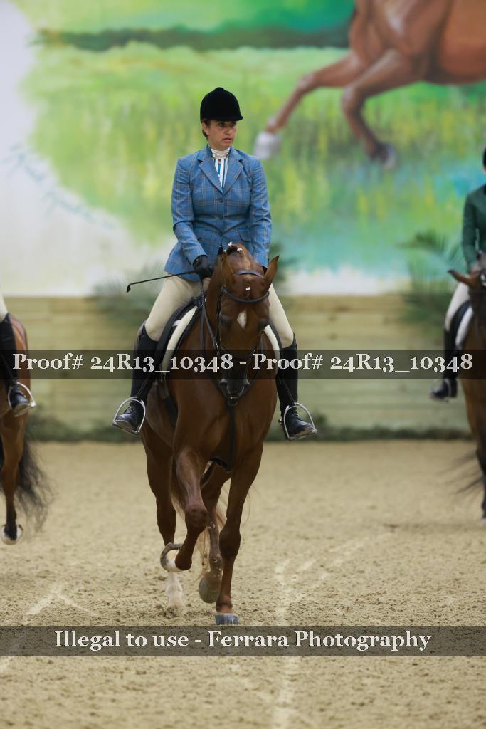 Proof 24R13_10348