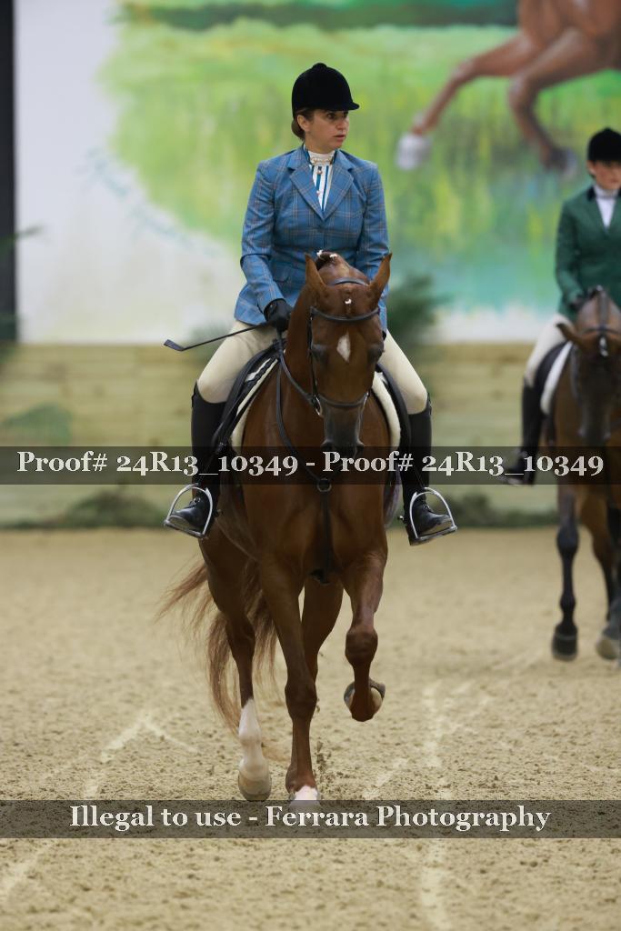 Proof 24R13_10349