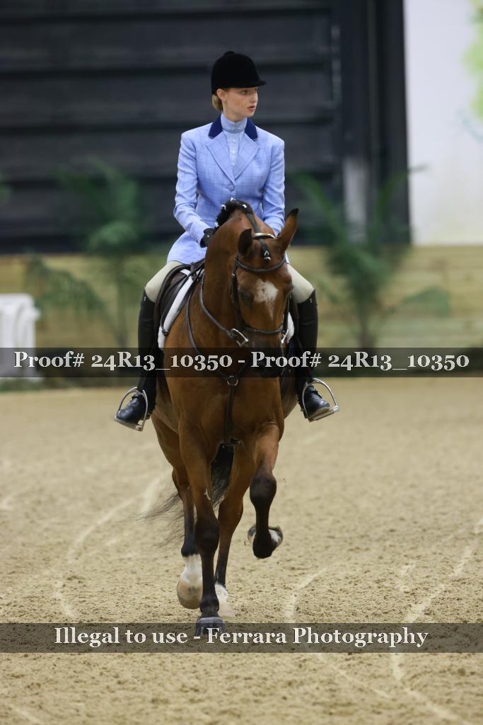 Proof 24R13_10350