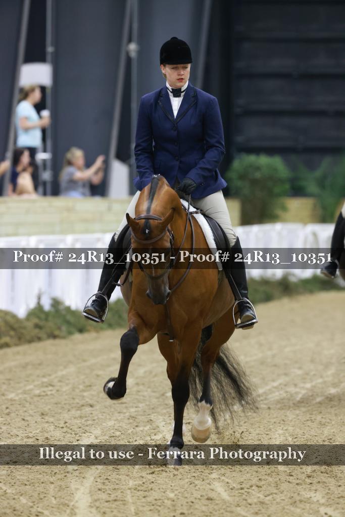 Proof 24R13_10351