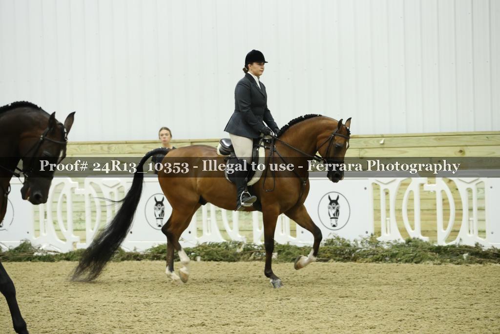 Proof 24R13_10353