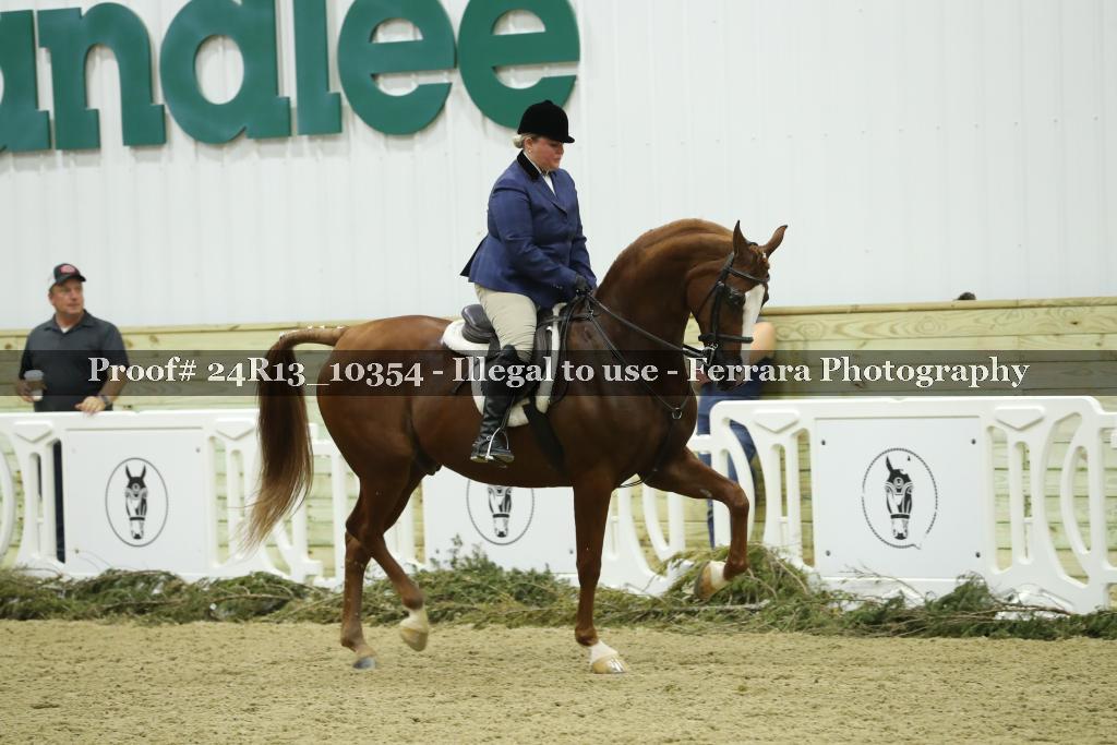 Proof 24R13_10354