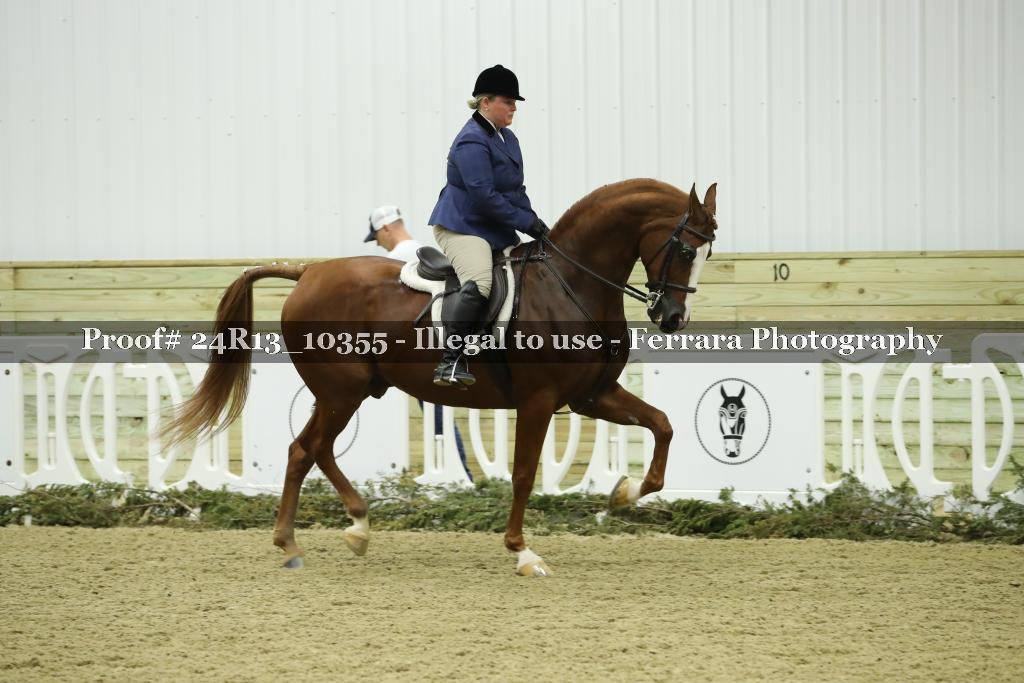 Proof 24R13_10355