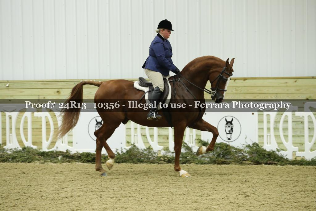 Proof 24R13_10356