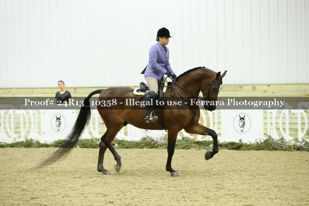 Proof 24R13_10358