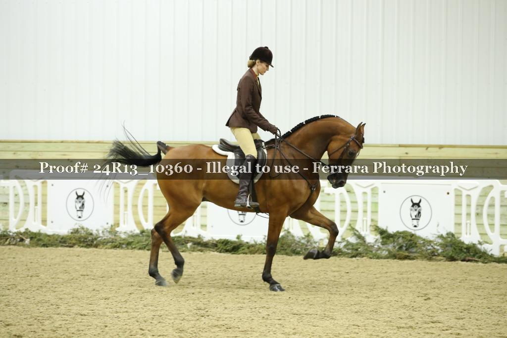 Proof 24R13_10360