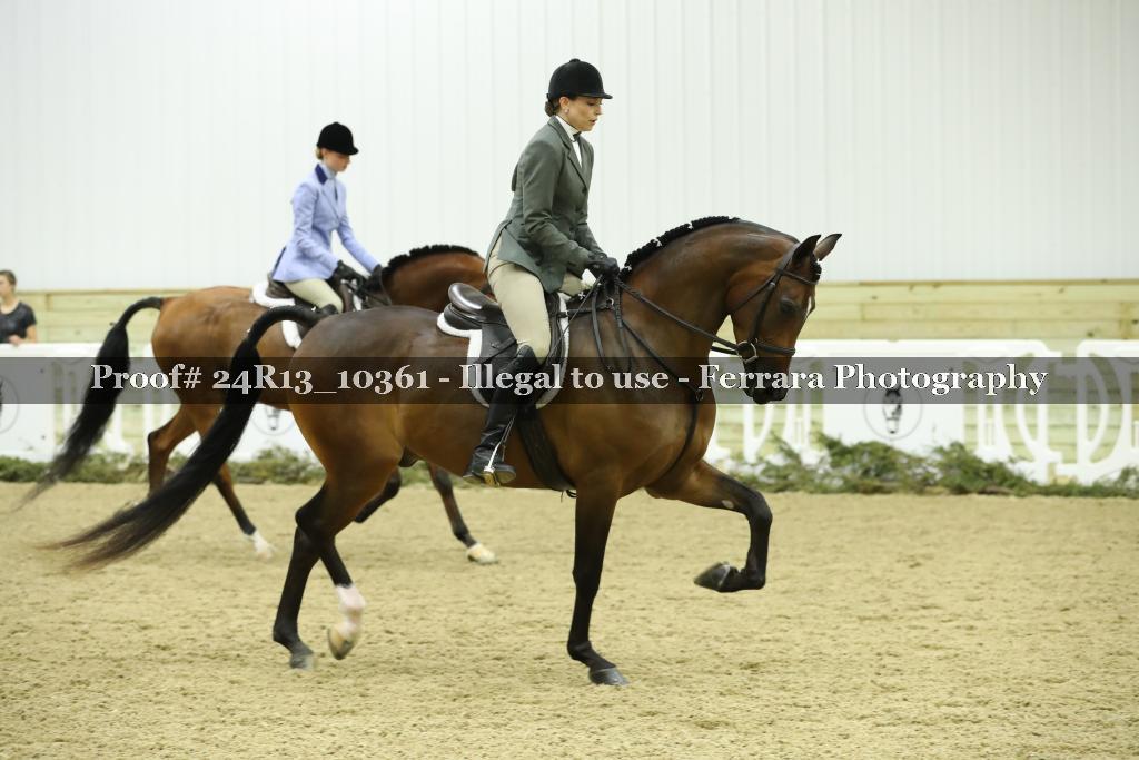 Proof 24R13_10361