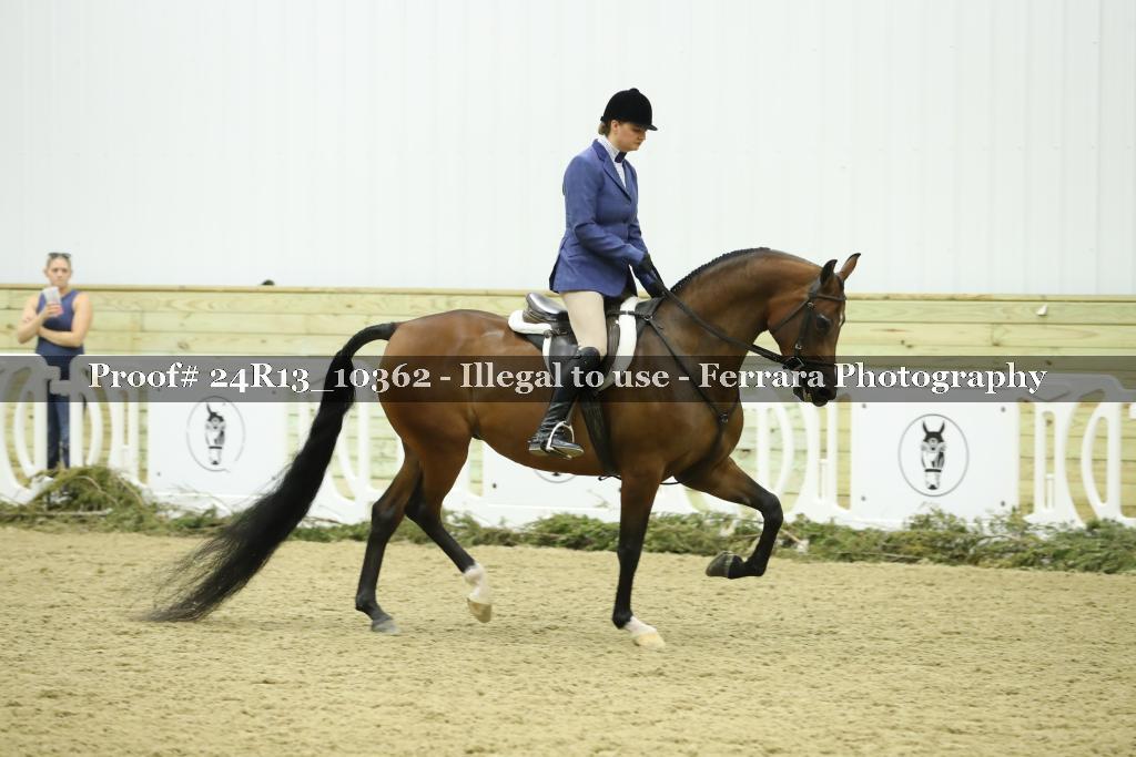 Proof 24R13_10362