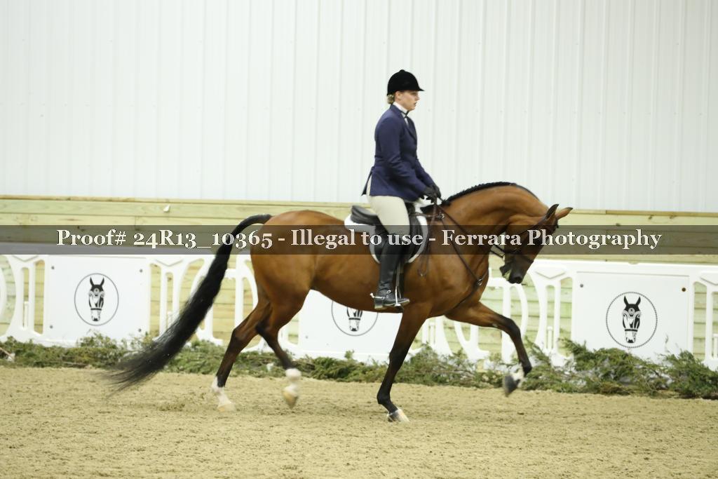 Proof 24R13_10365