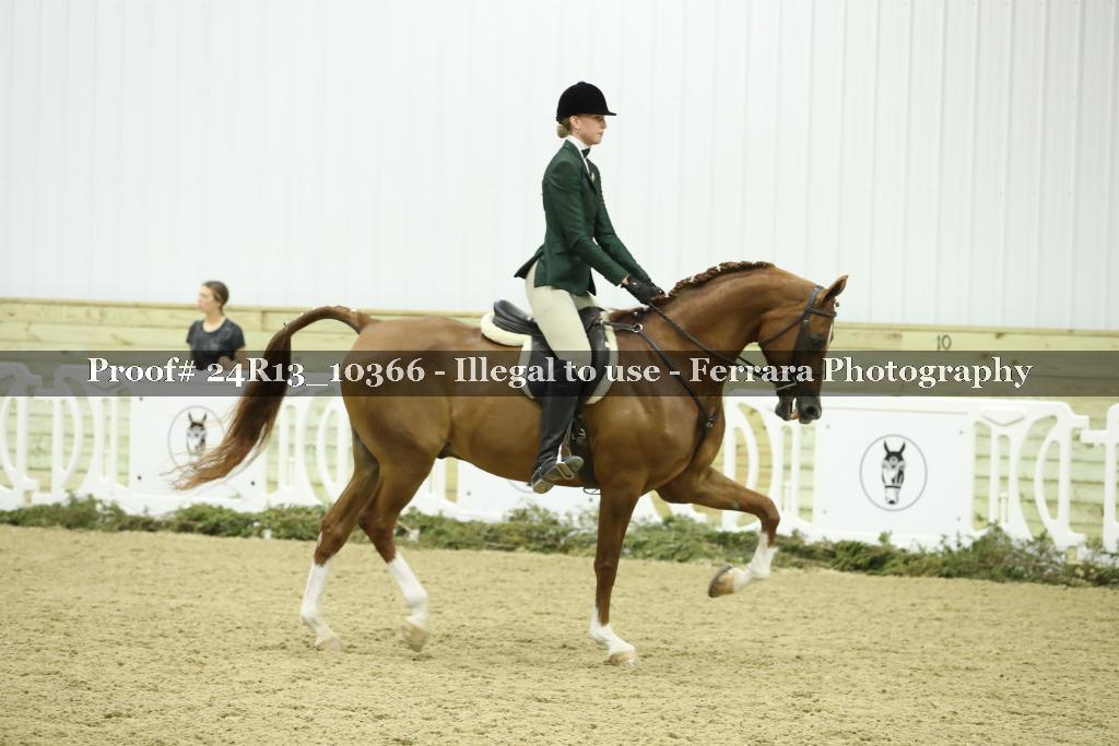 Proof 24R13_10366