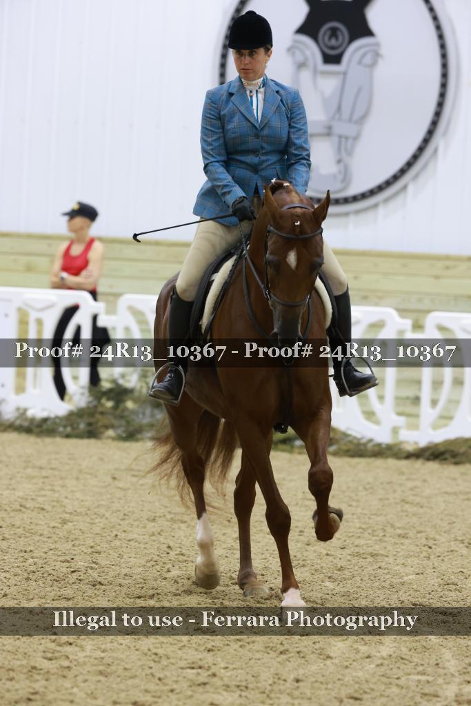 Proof 24R13_10367