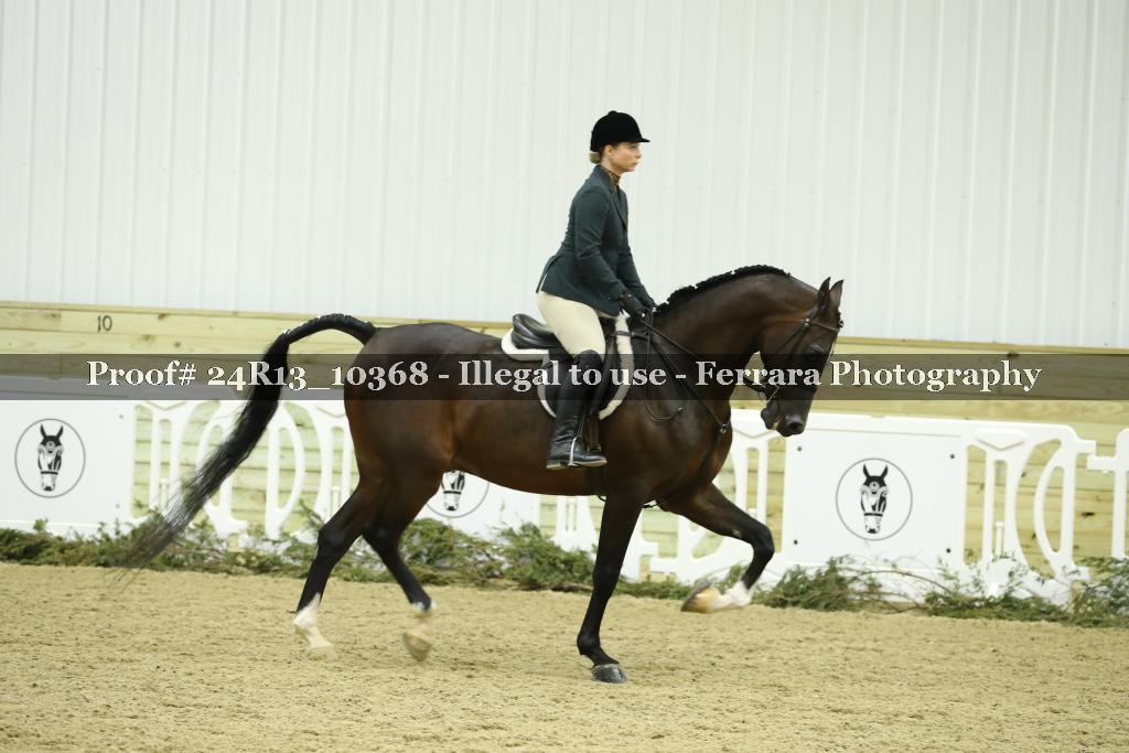 Proof 24R13_10368