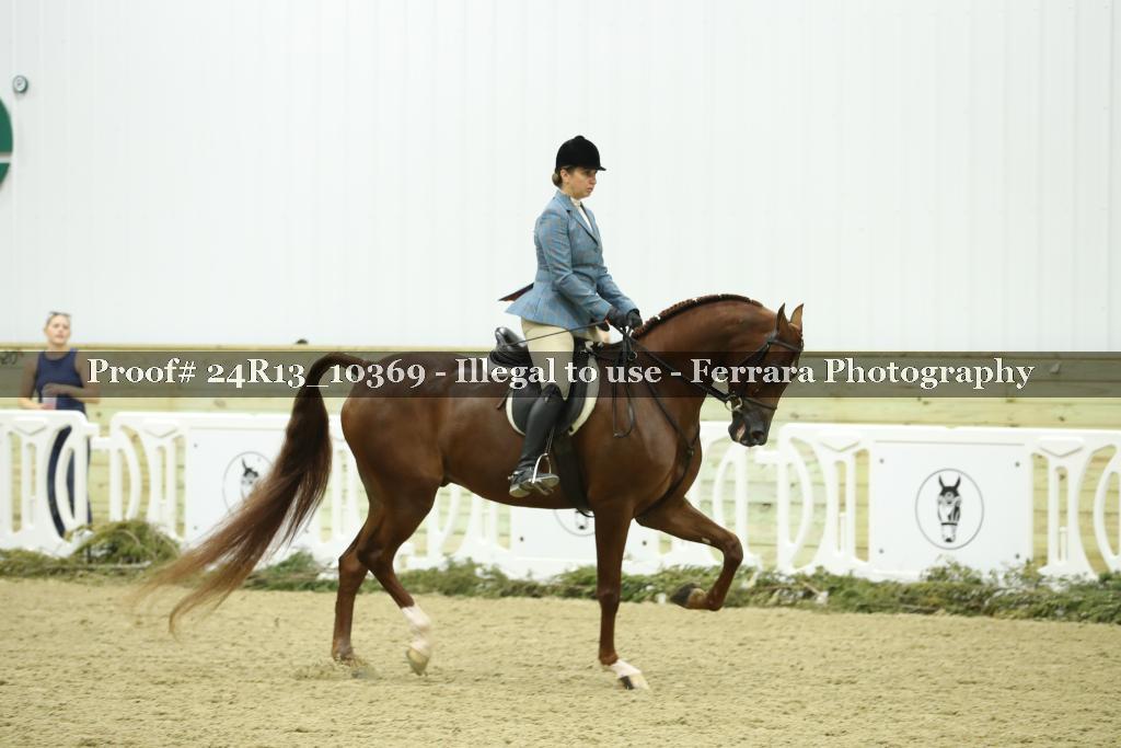 Proof 24R13_10369