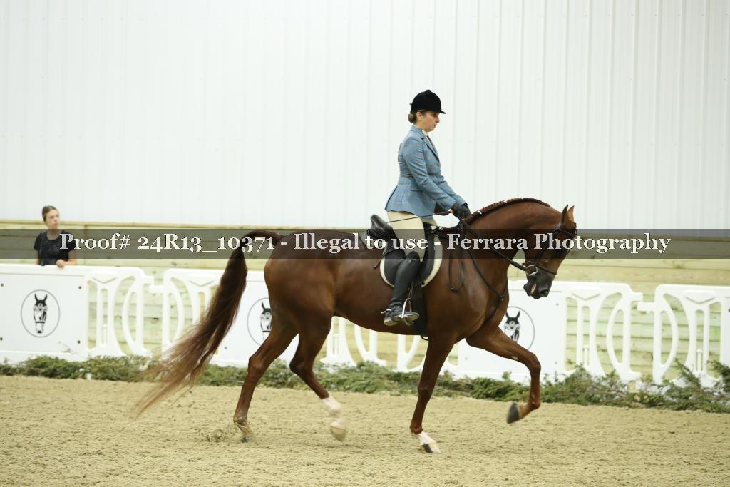 Proof 24R13_10371