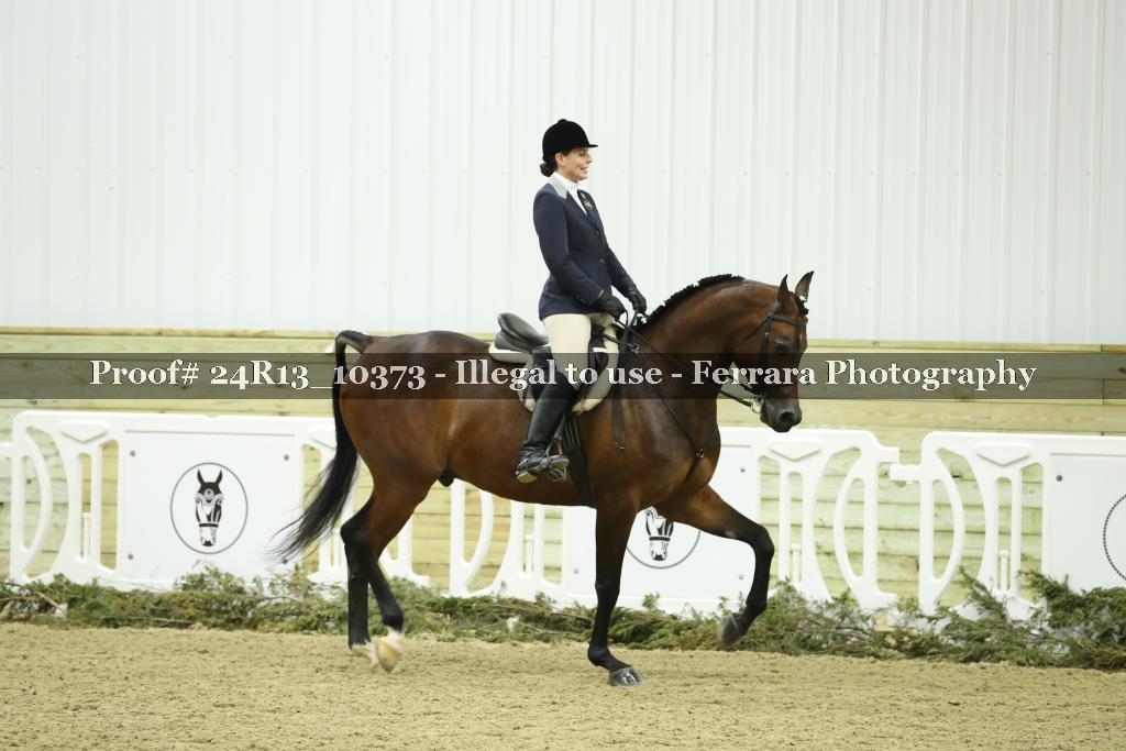 Proof 24R13_10373