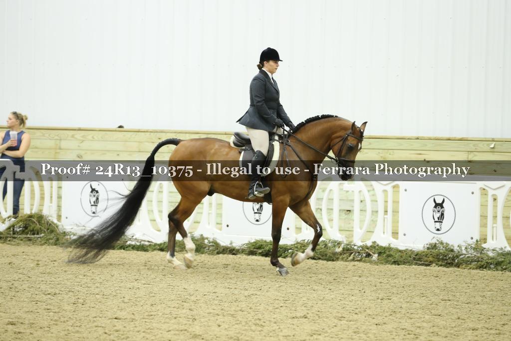 Proof 24R13_10375